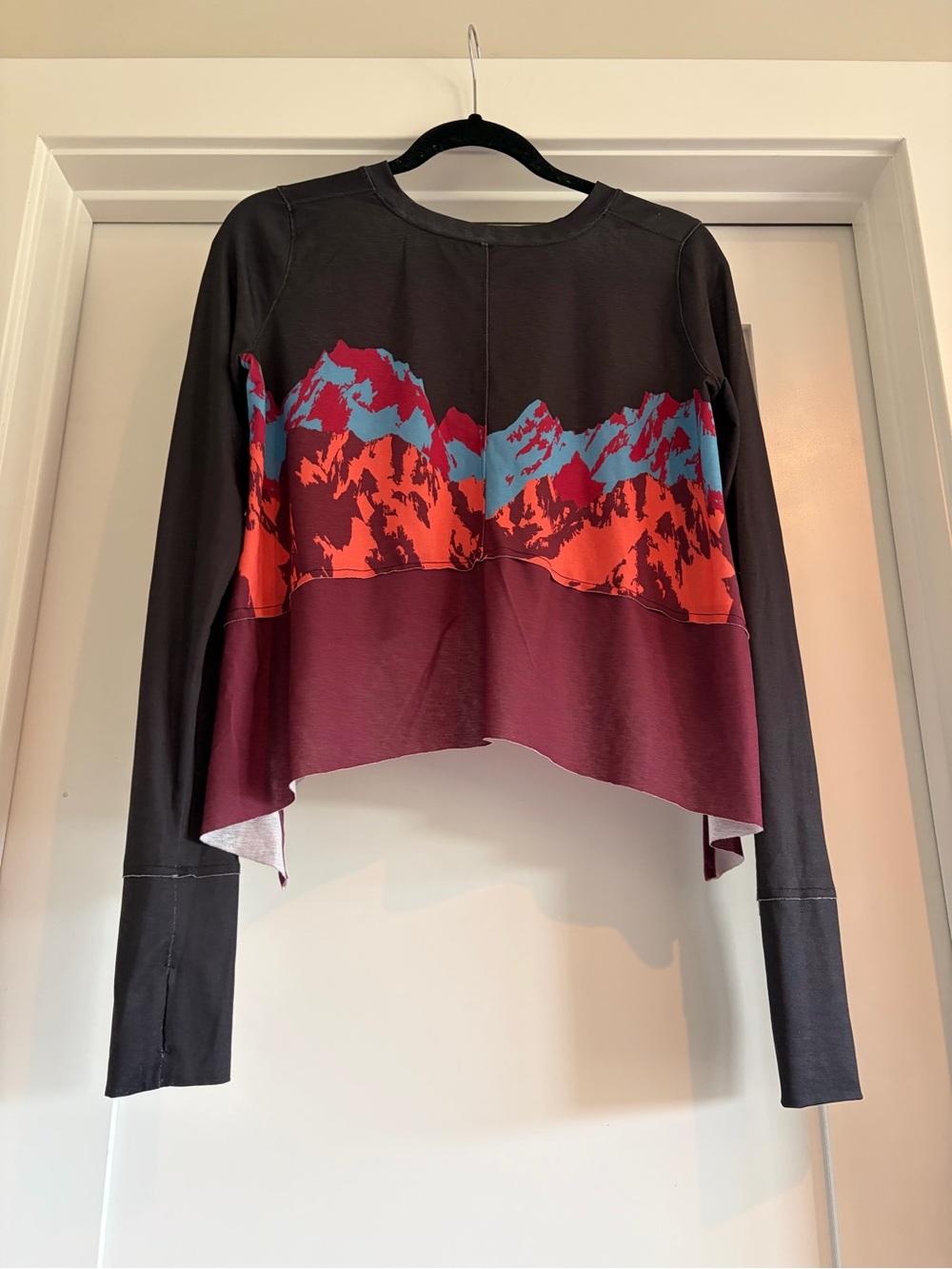 FP Movement by Free People Black Long-Sleeve Crop Top with Mountain Print